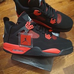 Air Jordan 4s Size 10
