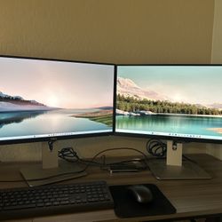 Dell UltraSharp 25” Dual Monitor