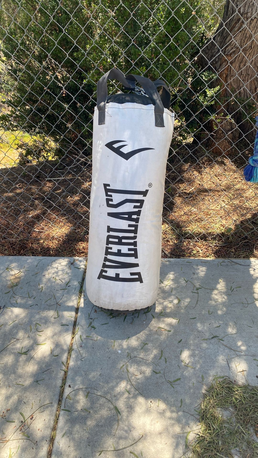 Punching Bag