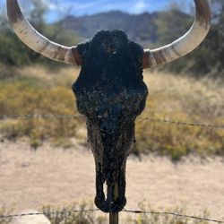 Custom Steer Head