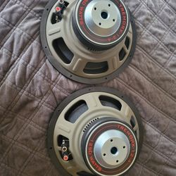 Earthquake 12in Subwoofer 