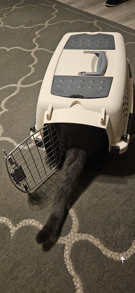 Cat/Dog Carrier