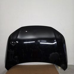 2026 Honda Civic Hood Panel OEM 