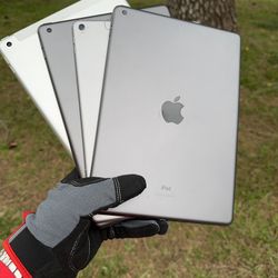 iPads 5 / 6 / 8 / Pro