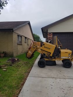 Professional stump Grinder Removal