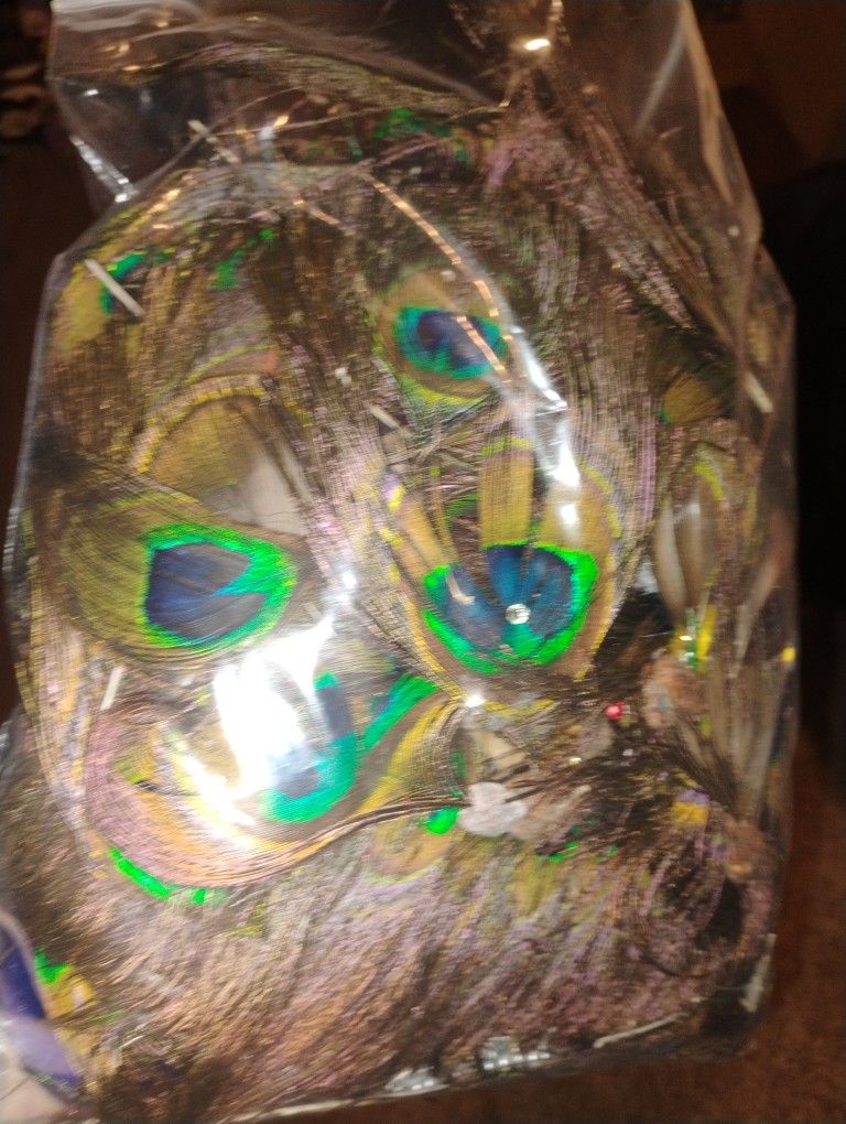 Peacock Feathers