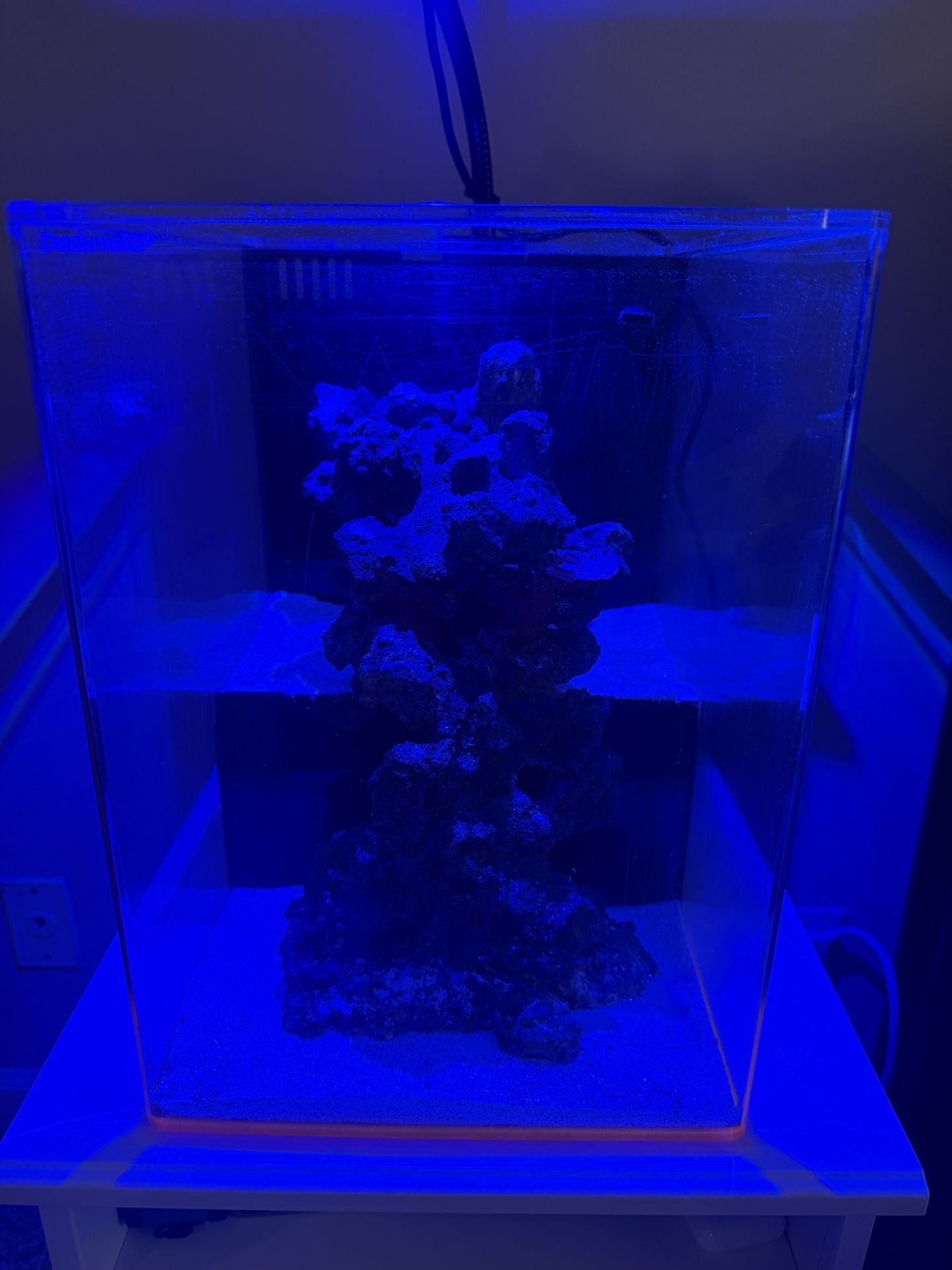 Deskmate MARIANA Drop Off 7 Gallon Acylic Aquarium w extras