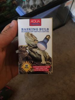 basking bulb