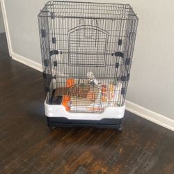 Critter Cage