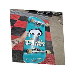 fund which Brand New Fresh Skateboard - Ideal for Thrill Seekers and Gentle Riders