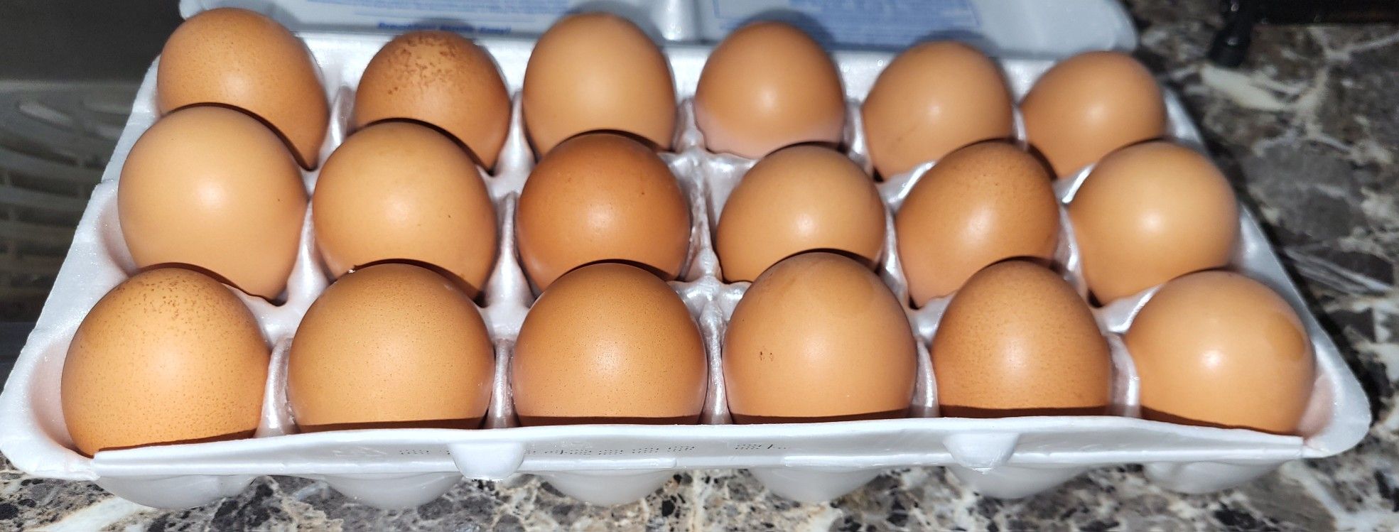 Fresh Brown EGGS!