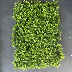 Artificial Grass  Boxwood For Backdrop Decoration