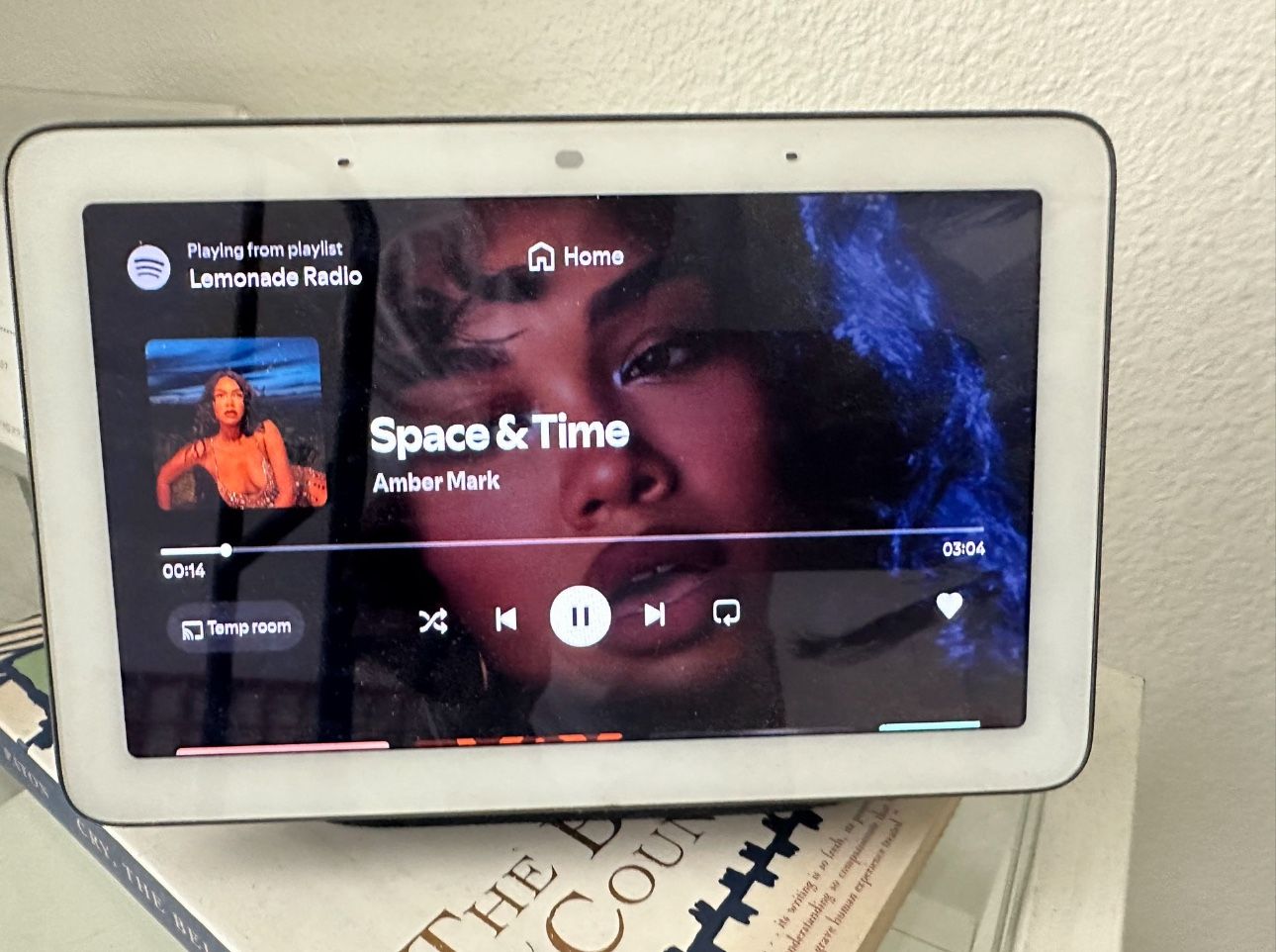 Google Nest Hub!!!