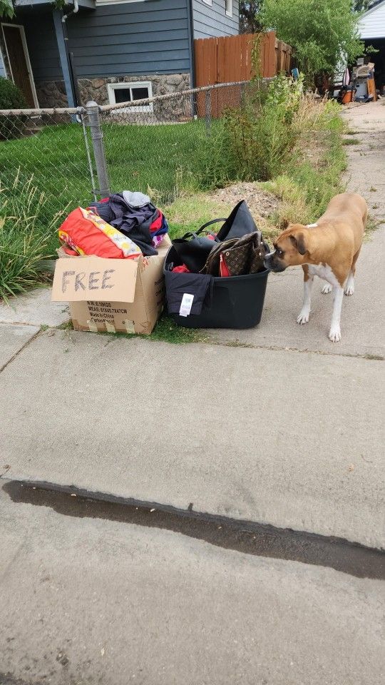 FREE