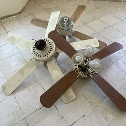 Ceiling Fans