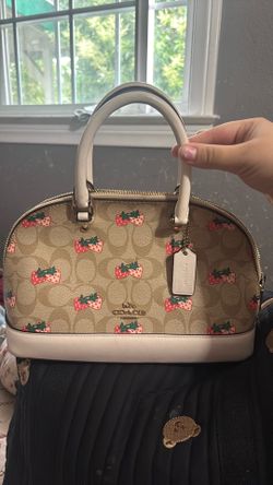 Strawberry Coach Bag