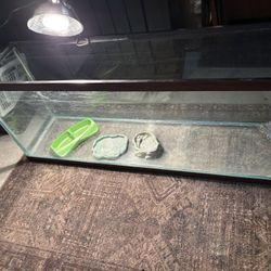 55 Gallon(Non-Aquatic) Reptile Tank And Accessories