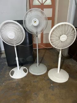 Fans all for 65