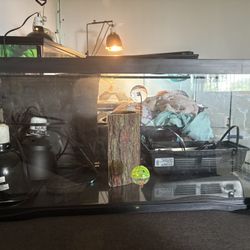 20gallon tank 