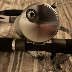 Jigging Fishing Reel