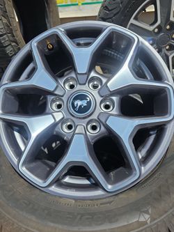Ford Bronco Wheels