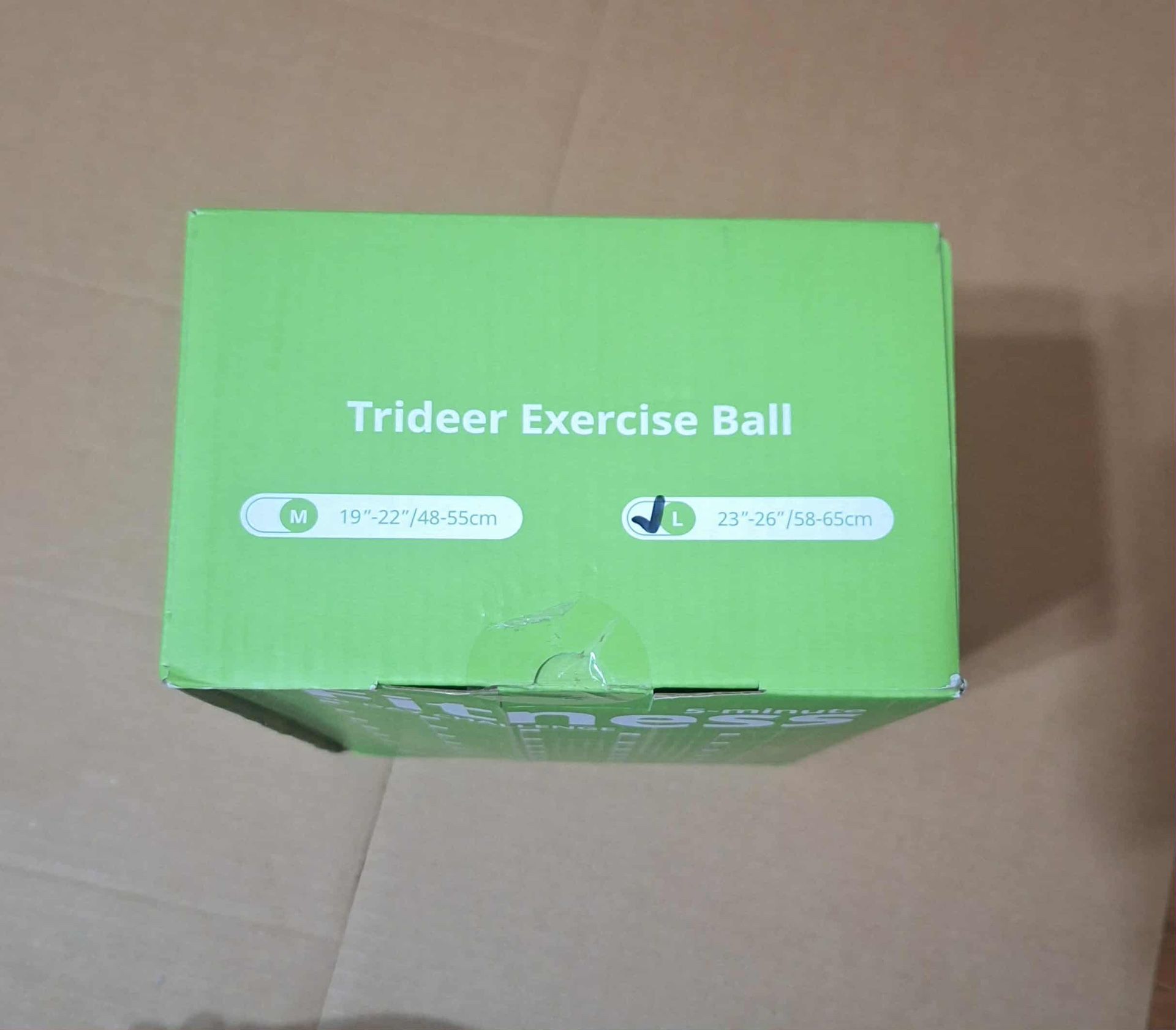 Exercise Ball