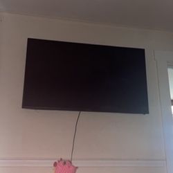 65 Inch Sceptre TV