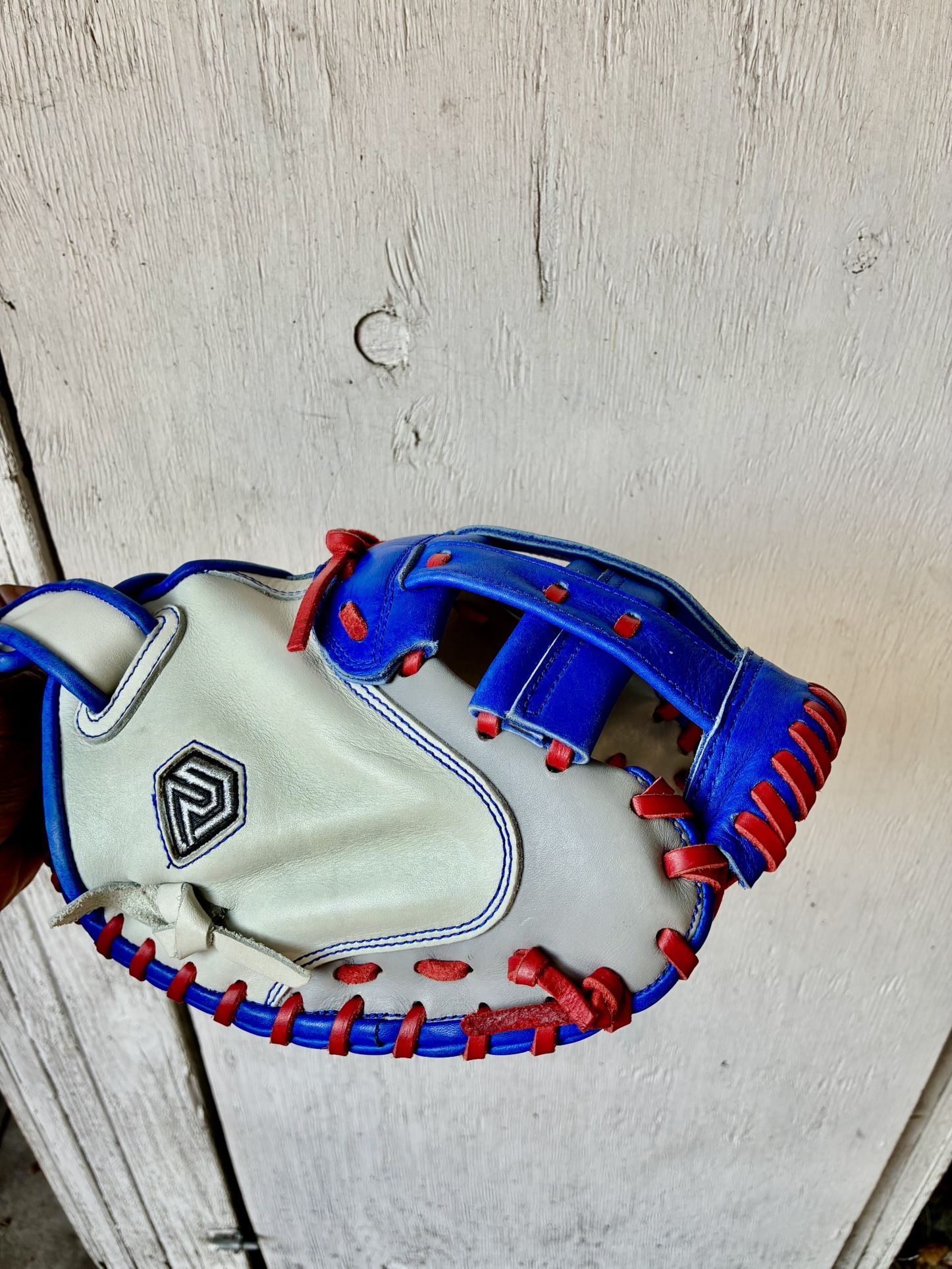 Resilient Softball Catchers Glove