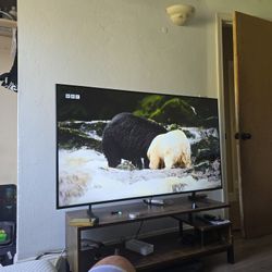 55 In Samsung TV  The TV Stand Is Included 