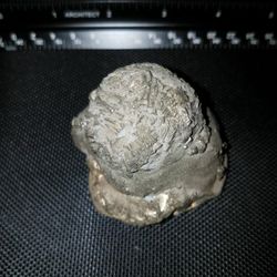 Biggest Bodji Stone I've Ever Seen M/F Merged