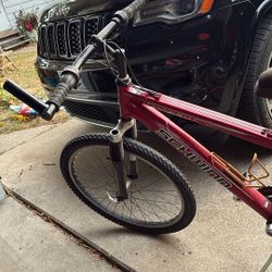 Schwinn 24 inch mountain bike