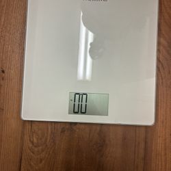 Scale 