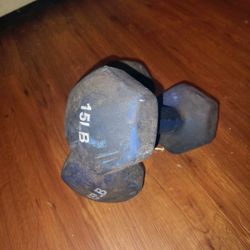 Two 15lbs Dumbbells 