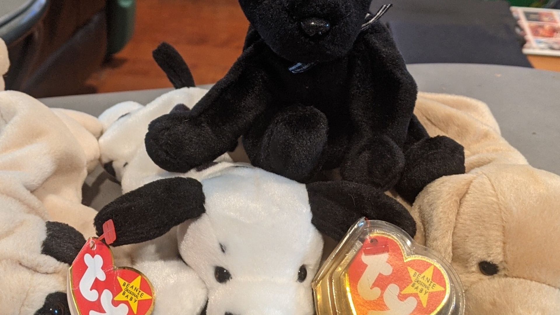 Beanie Babies - Dog Bundle