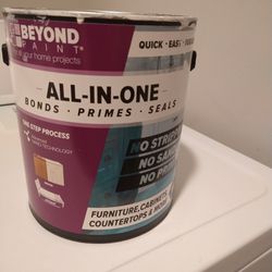 All In One Paint For Furniture 