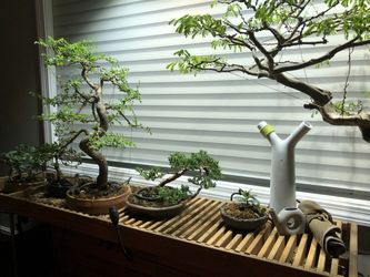 Custom plant table.