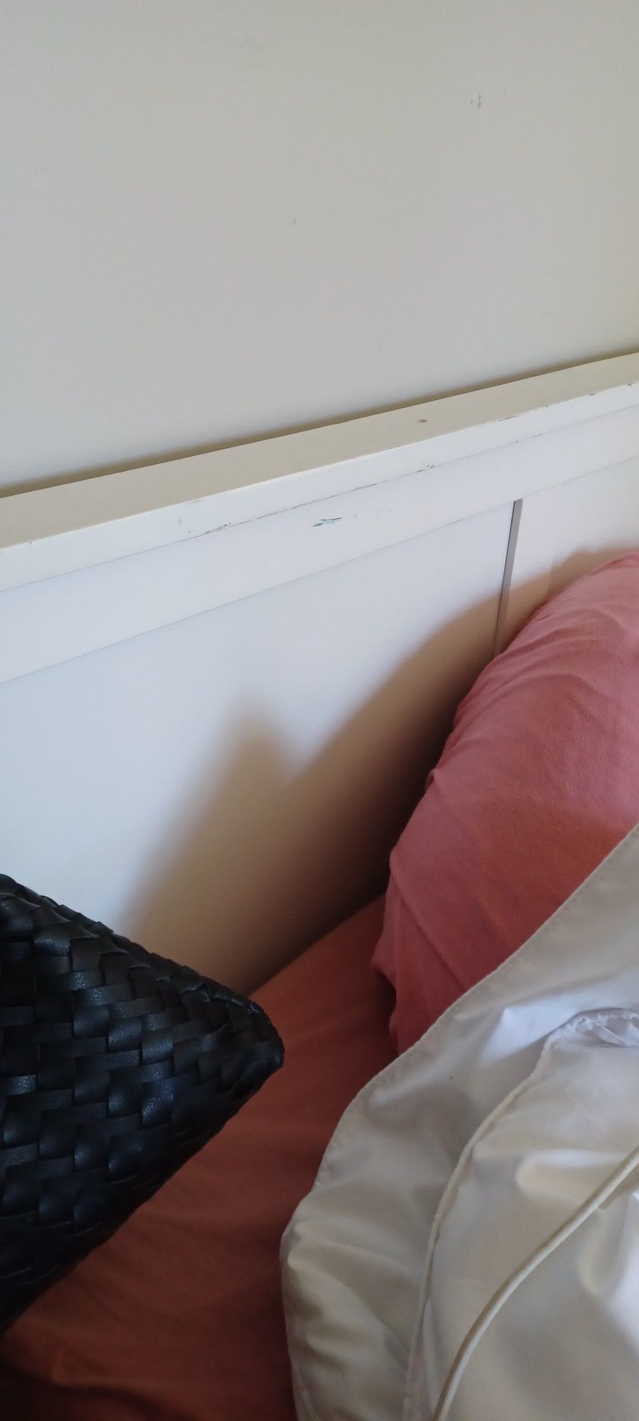 FREE! White King Size Bed Frame
