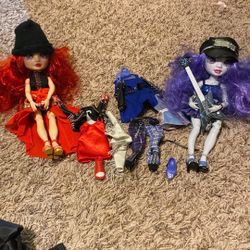 Shadow High And Rainbow High Dolls!