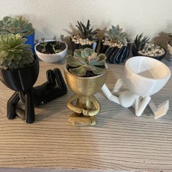 Succulent Pots For Sale 