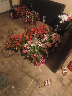 Hanging Flower Pots