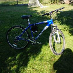 Schwinn 10 Speed Bike. 