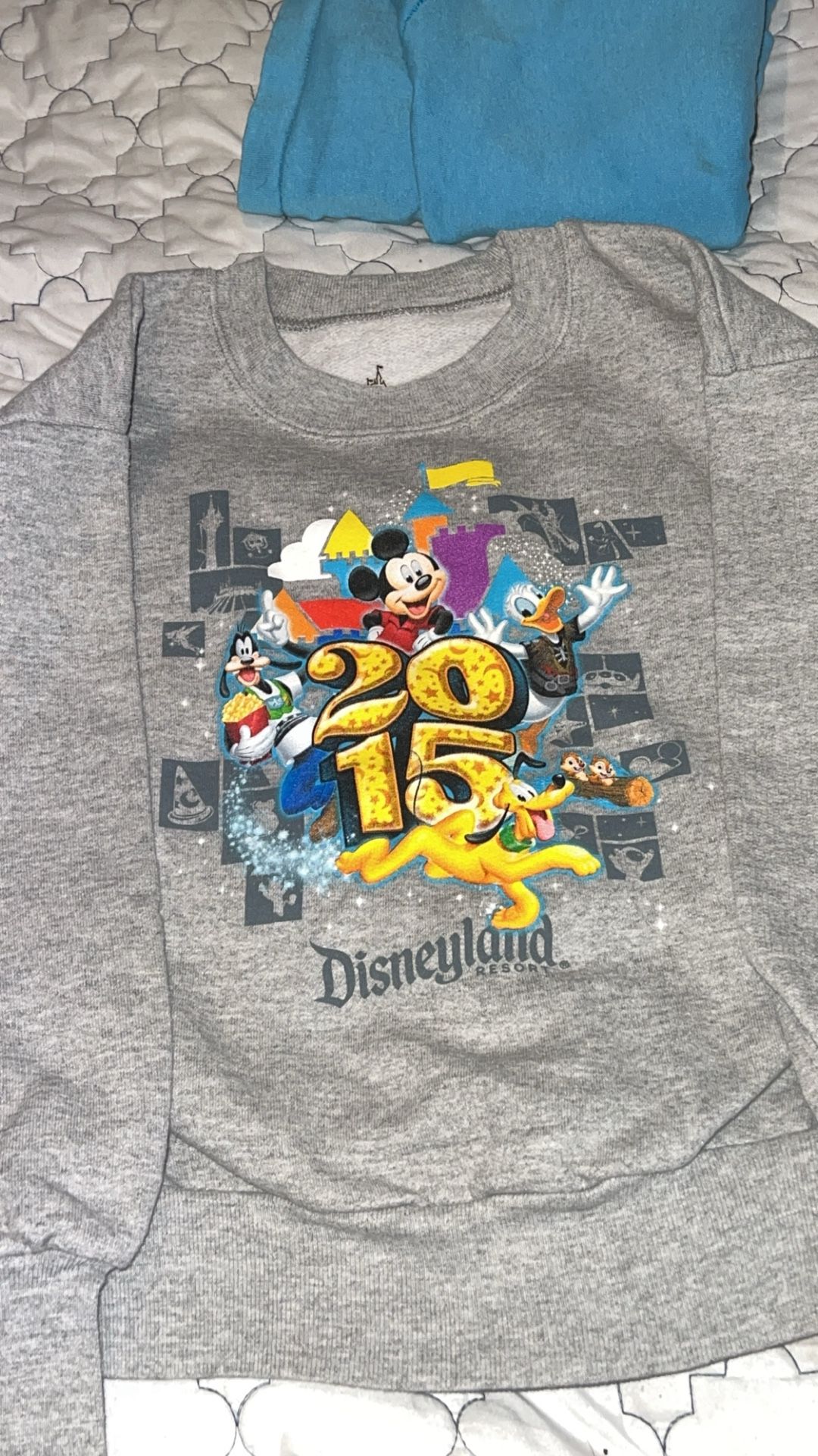 2015 Toddler Sweatshirt 