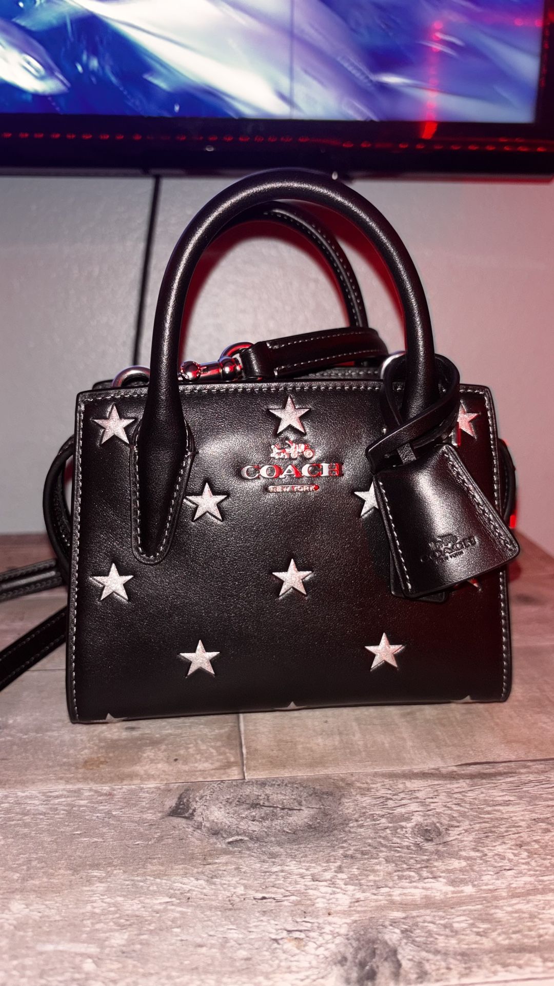 Coach Mini Bag