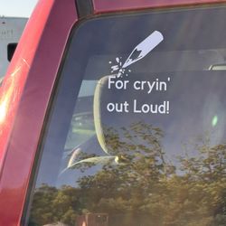 6 x 6 inch Vinyl Window Decal - For Cryin’ Out Loud!