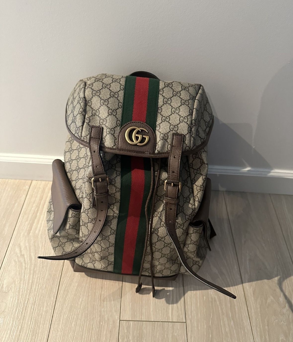 Gucci Ophidia backpack