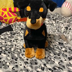 Cool Dog Won It At Washington State Fair