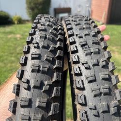 2 Specialized Eliminator Mountain Bike Tires