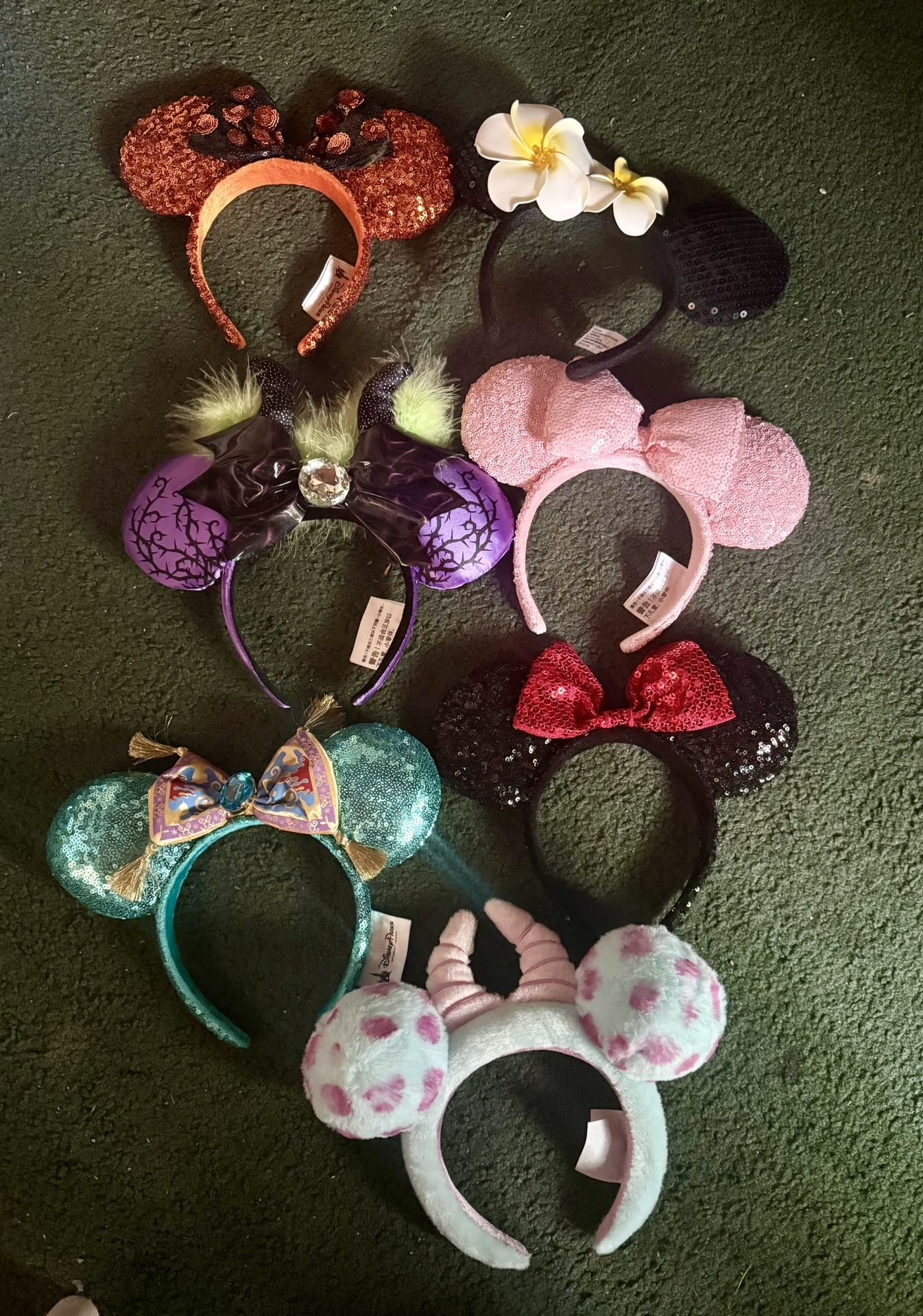 Disney Park Ears