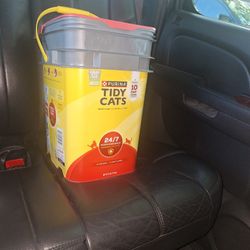 Kitty Litter 