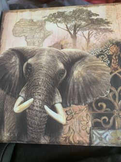 Picture Elephant